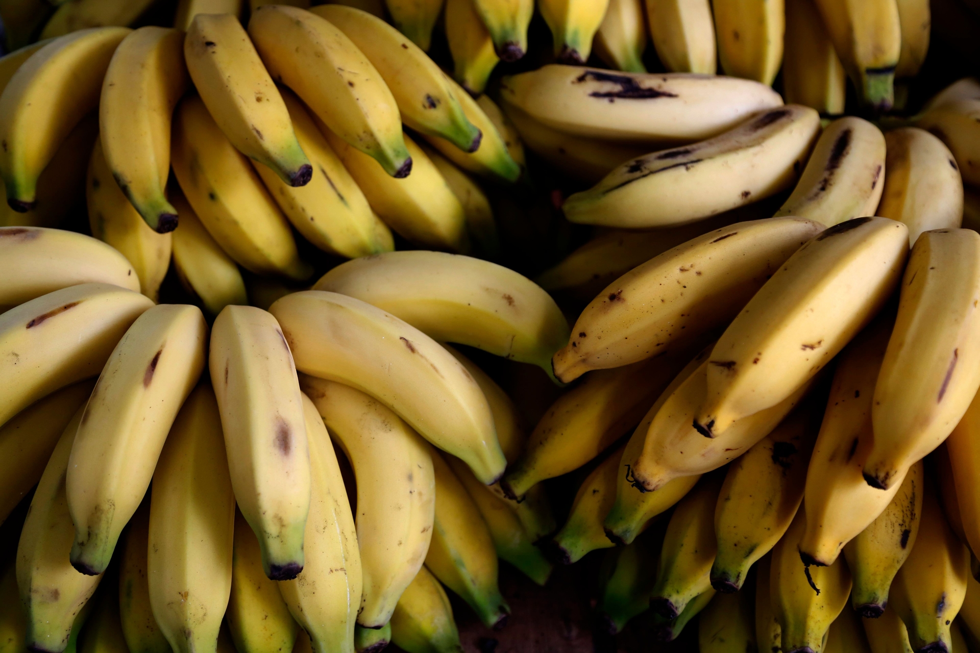 Presidente do Panamá busca acordo com a Chiquita para reativar operações no país após demissões. Reprodução: Globo