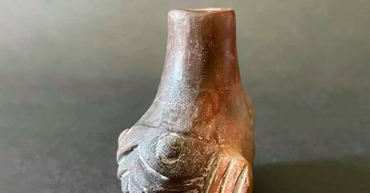 Apitos astecas em rituais de sacrifício humano revelados