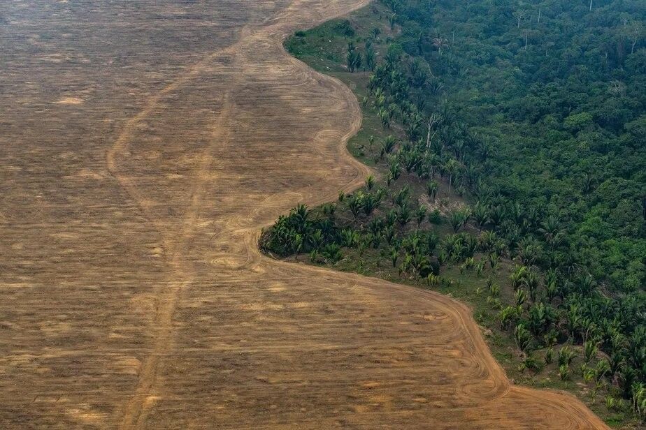 Aprovação do PL do Licenciamento Ambiental gera preocupação com o futuro do meio ambiente no Brasil. Reprodução: Globo