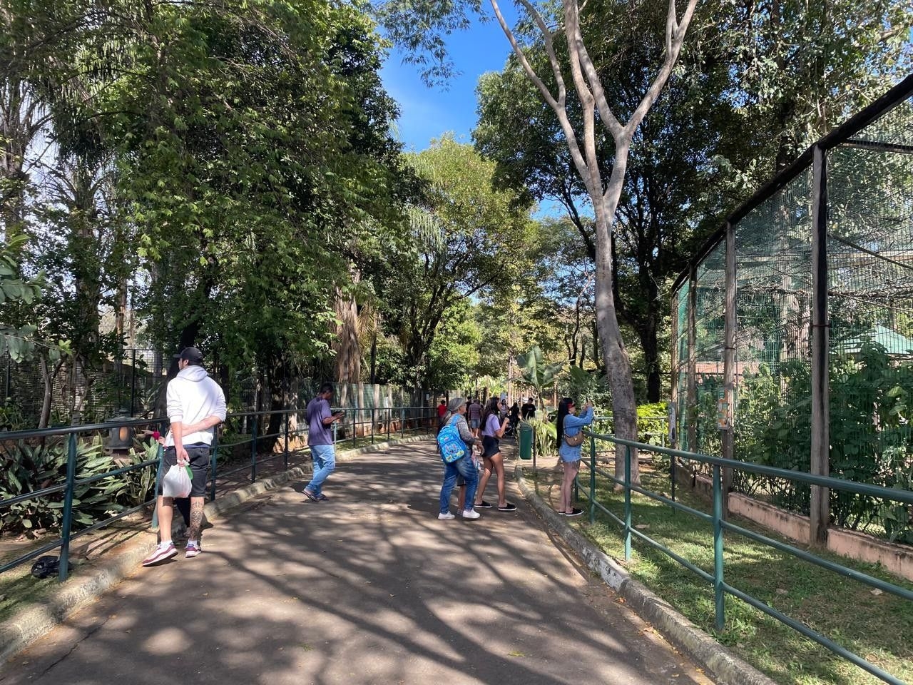 [Vereadores em sessão sobre alterações do Comdema e privatização de zoológico e cemitérios]. Reprodução: G1