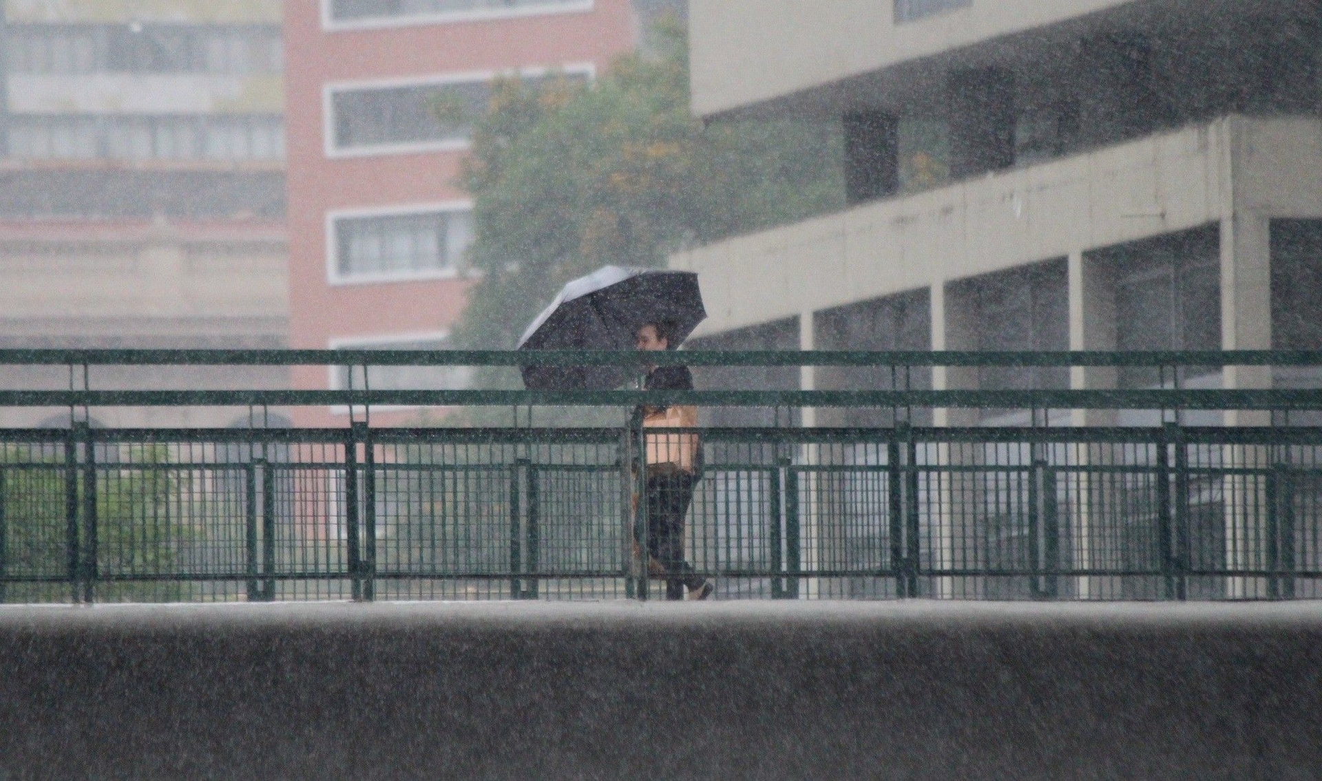 SP enfrenta chuva intensa e ventos fortes sob alerta laranja do Inmet. Legenda da imagem. Reprodução: Retorno do item 11