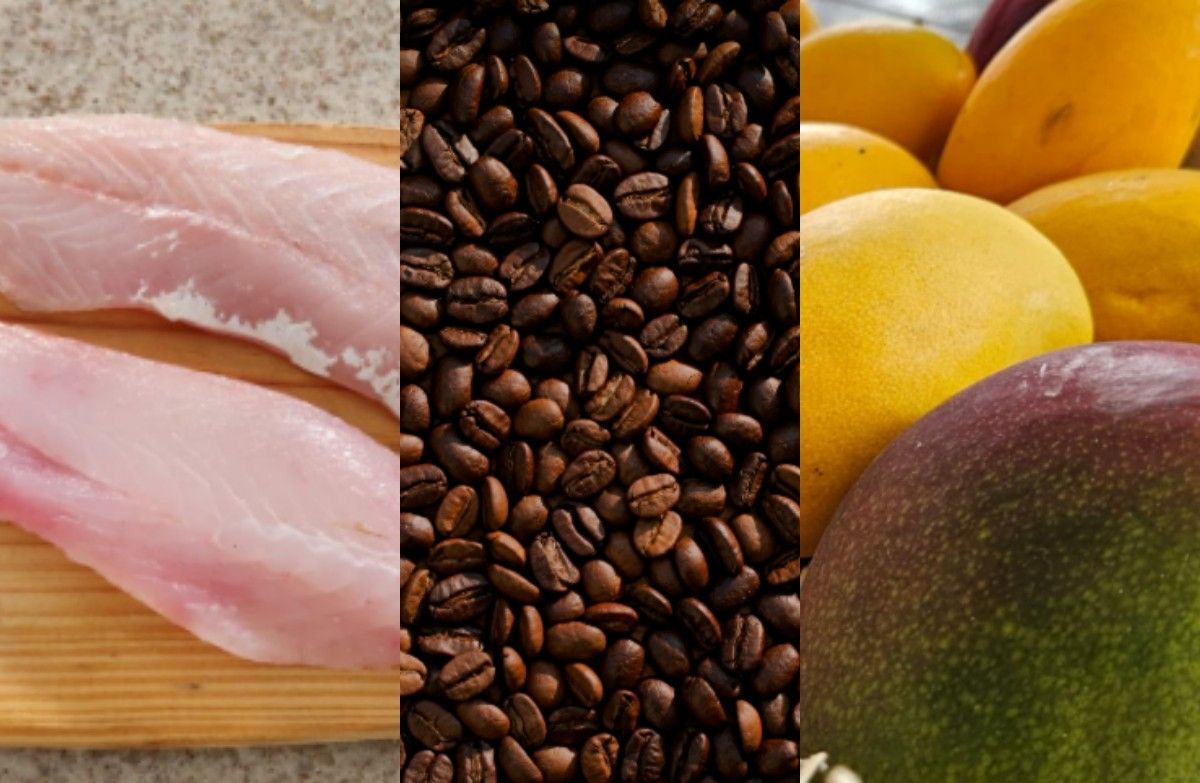 Setores enfrentam desafios na exportação de produtos brasileiros após imposição de tarifa de 50% para os EUA.; Reprodução: Mike Kenneally/Unsplash