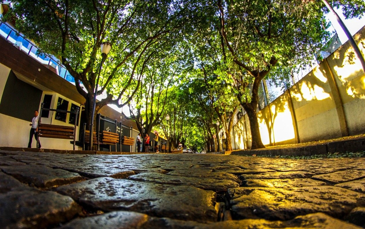 59 milhões de pessoas enfrentam falta de áreas verdes em ruas, revela Censo 2022. Reprodução: Globo