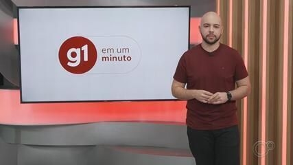 TCE-SP investiga contratos sem licitação entre Prefeitura de Sorocaba e empresas de paisagismo.; Reprodução: g1