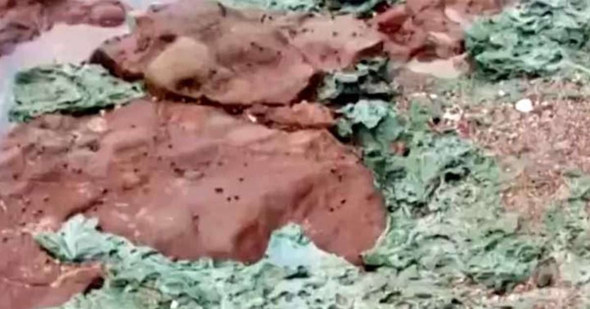 Descobrindo as Rochas de Plástico na Ilha da Trindade