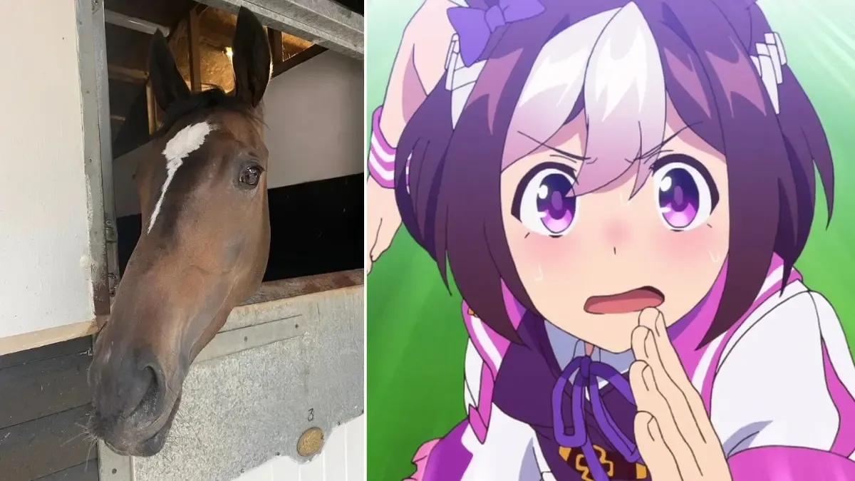 Um fã de Umamusume decide investir na compra de um cavalo de corrida.; Legenda da imagem. Reprodução: Gosu Gamers