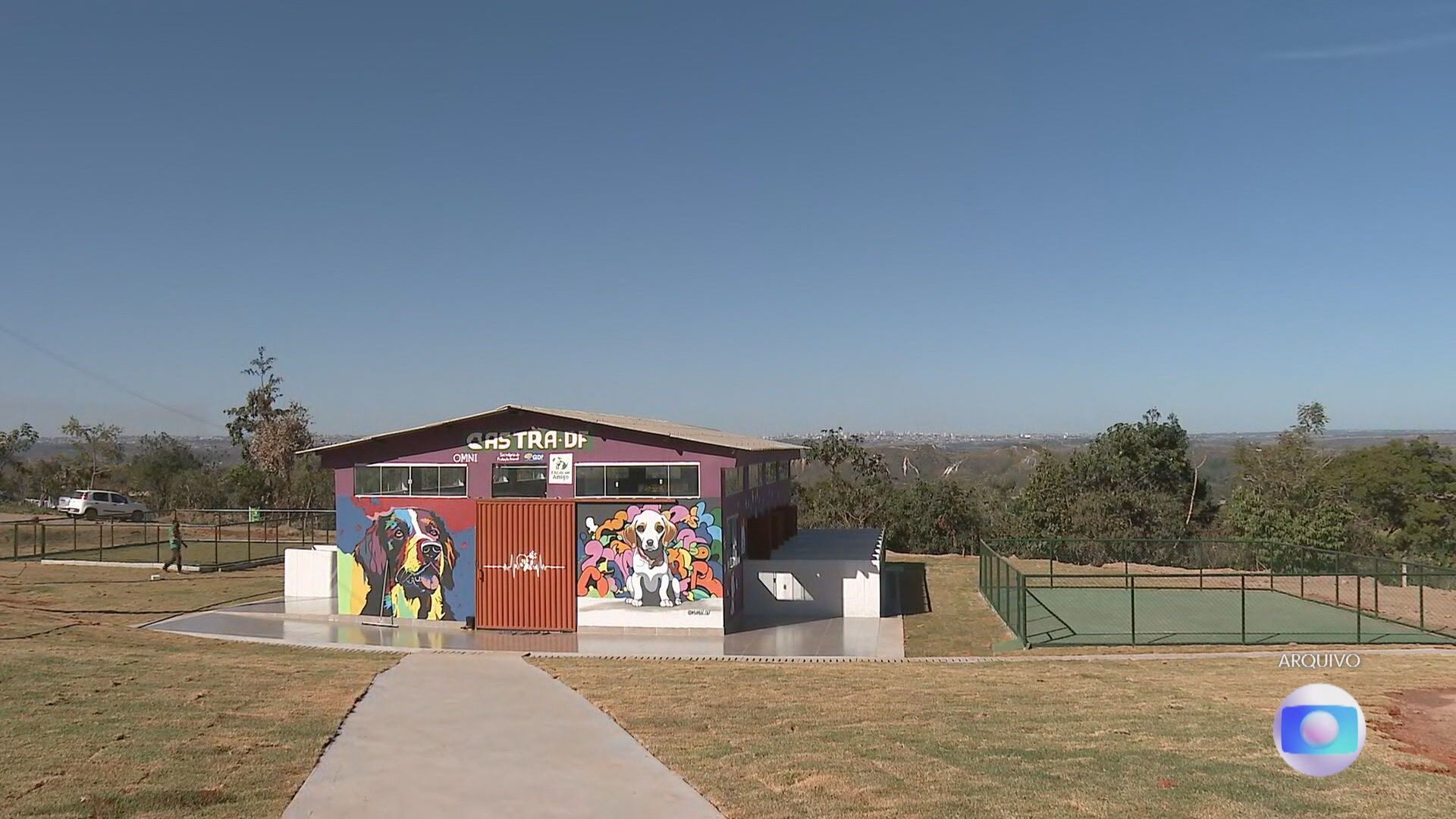 Protetoras denunciam maus-tratos em abrigo público de cães no Distrito Federal.; Legenda da imagem. Reprodução: Globo