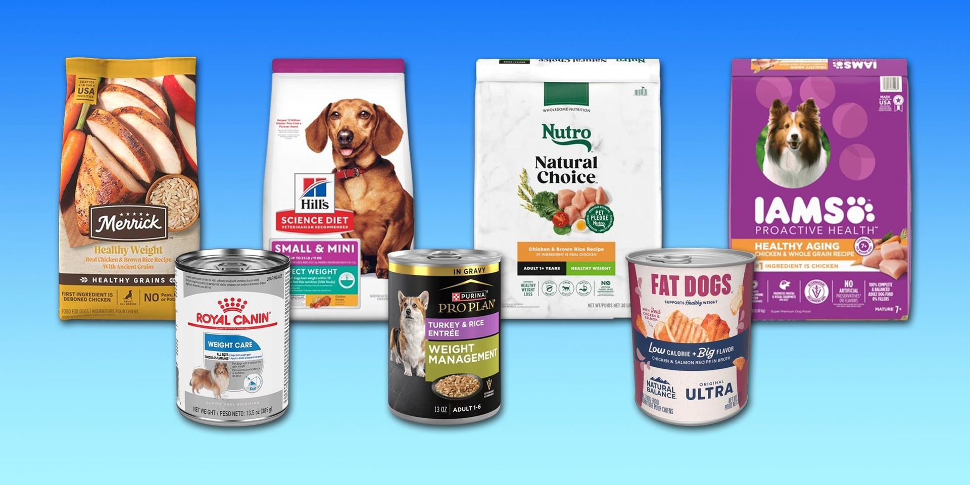 Alimentos para cães em dieta de emagrecimento: opções secas e molhadas eficazes. Reprodução: Business Insider