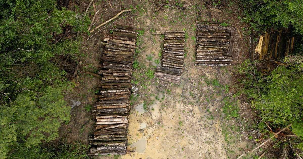 Impactos da rodovia para a COP30 em Belém