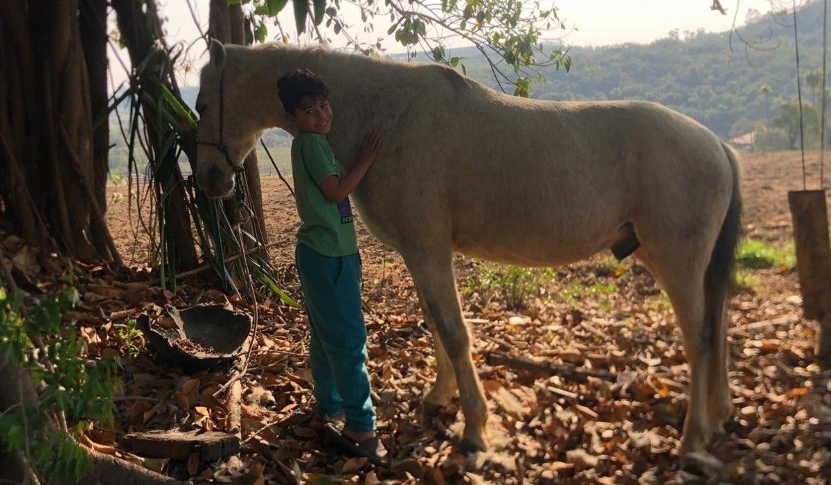 Menino de 9 anos de Sarapuí vende cavalo Trovão para custear viagem à seletiva do Bolshoi. Legenda da imagem. Reprodução: Retorno do item 11