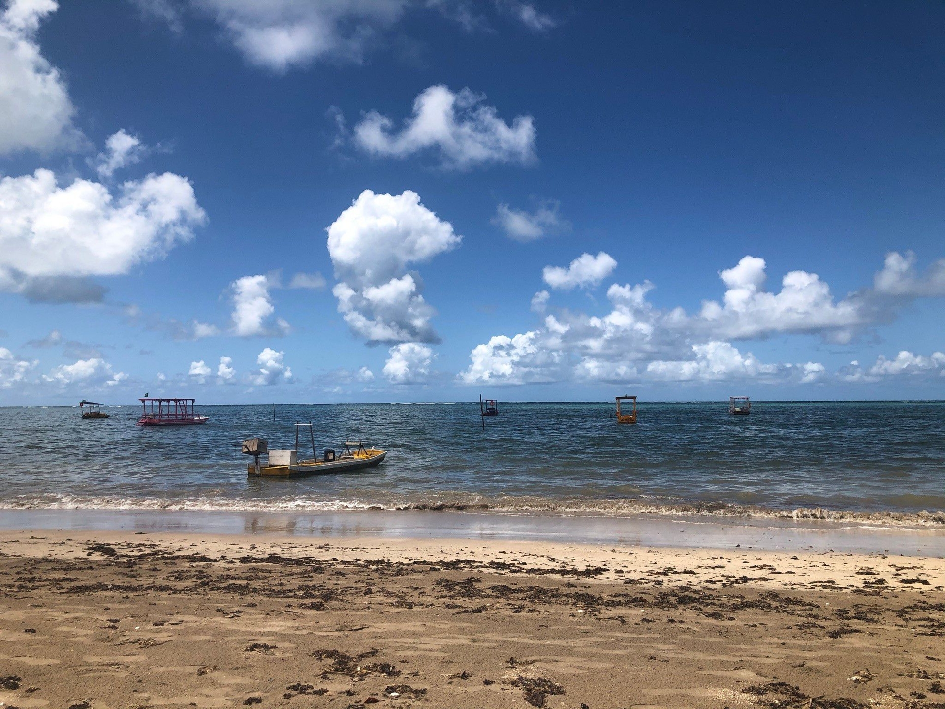 Área de Proteção Ambiental Costa dos Corais, entre Pernambuco e Alagoas, destaca ecossistemas marinhos e costeiros. Reprodução: Globo