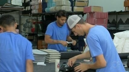 Setor de decoração em Auriflama cresce significativamente com novos investimentos e demanda aumentada. Reprodução: Globo