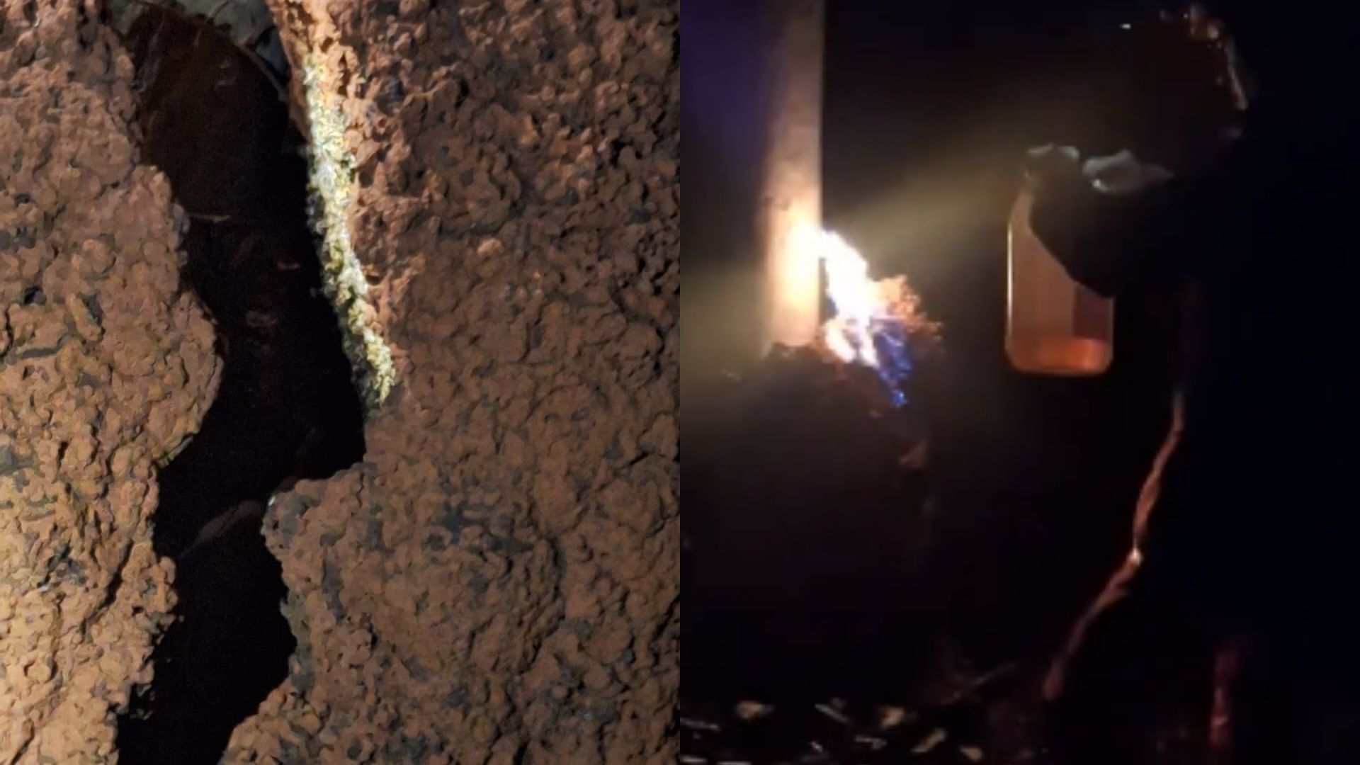 [Trabalhador morre após fugir de enxame de abelhas em fazenda de MG]. Reprodução: G1