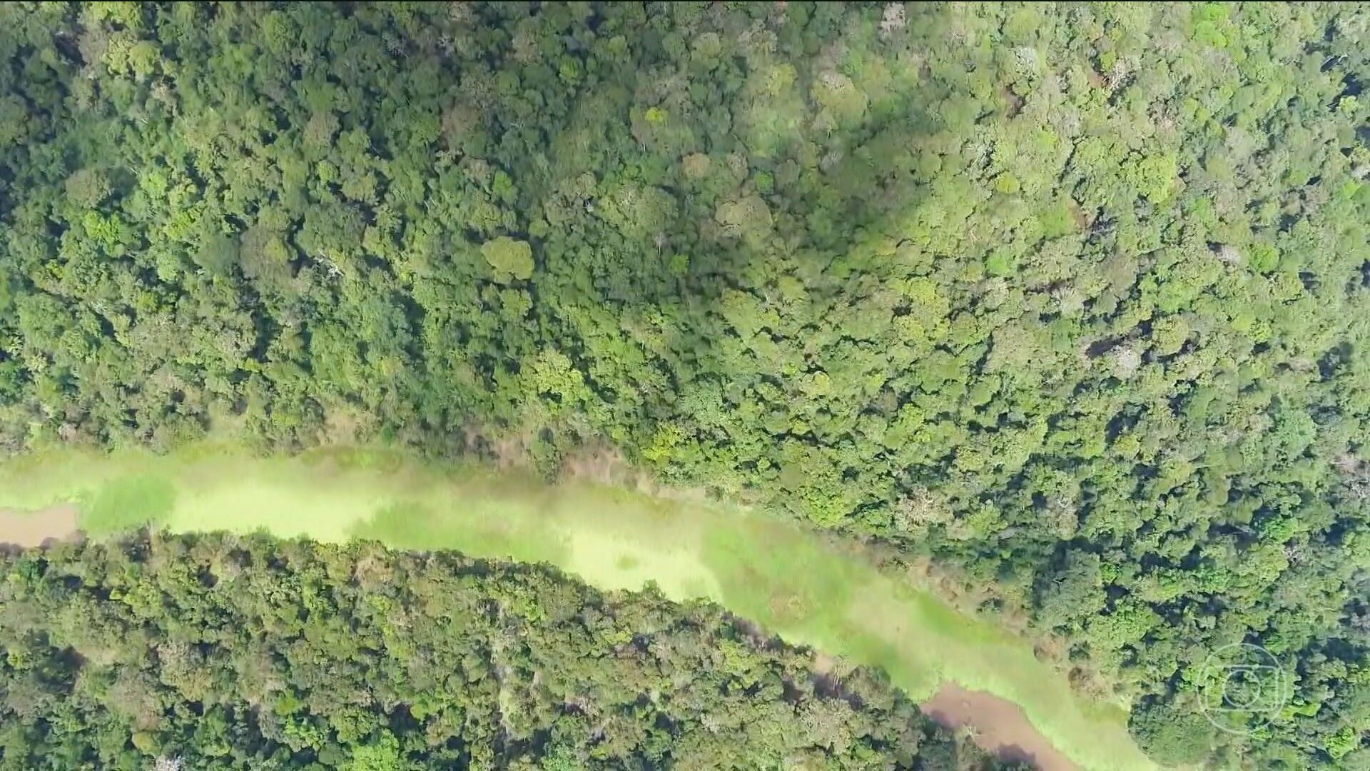 Senadores discutem votação de vetos ao licenciamento ambiental. Reprodução: Retorno do item 11