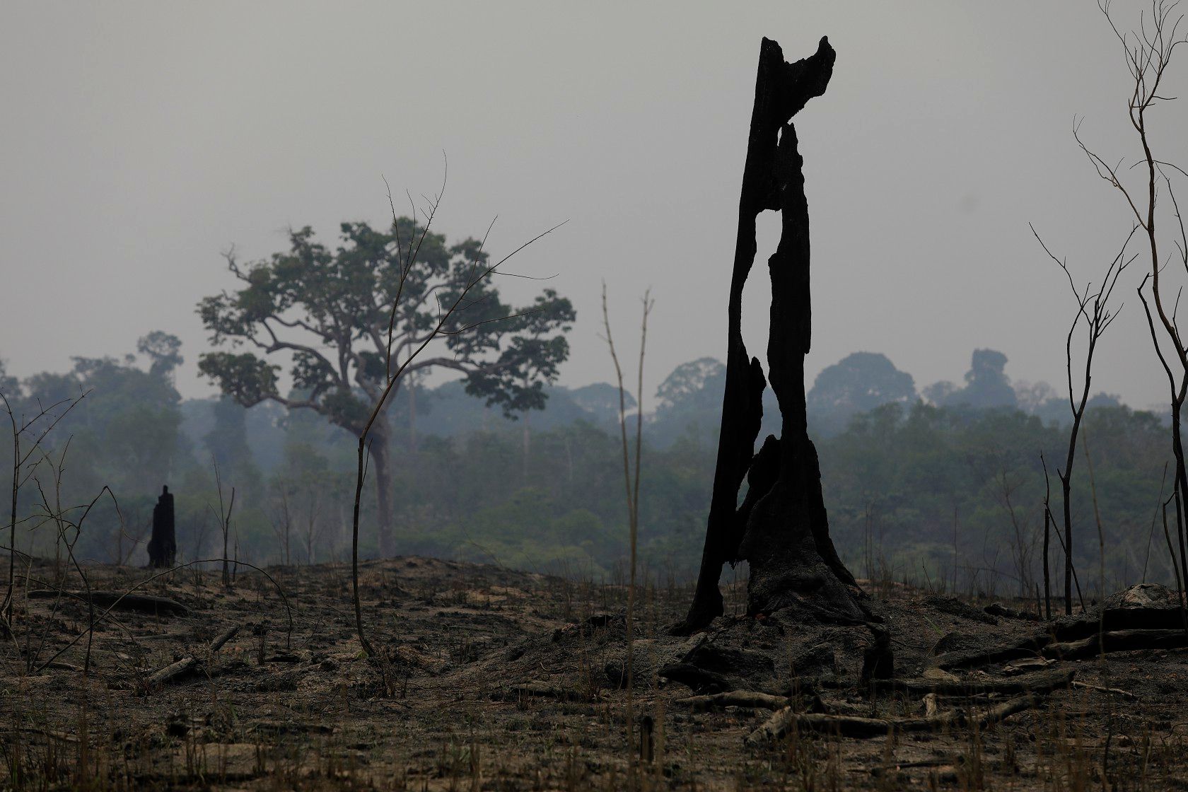 Amazônia enfrenta aumento do desmatamento, apesar de quedas em outras regiões. Legenda da imagem. Reprodução: Globo