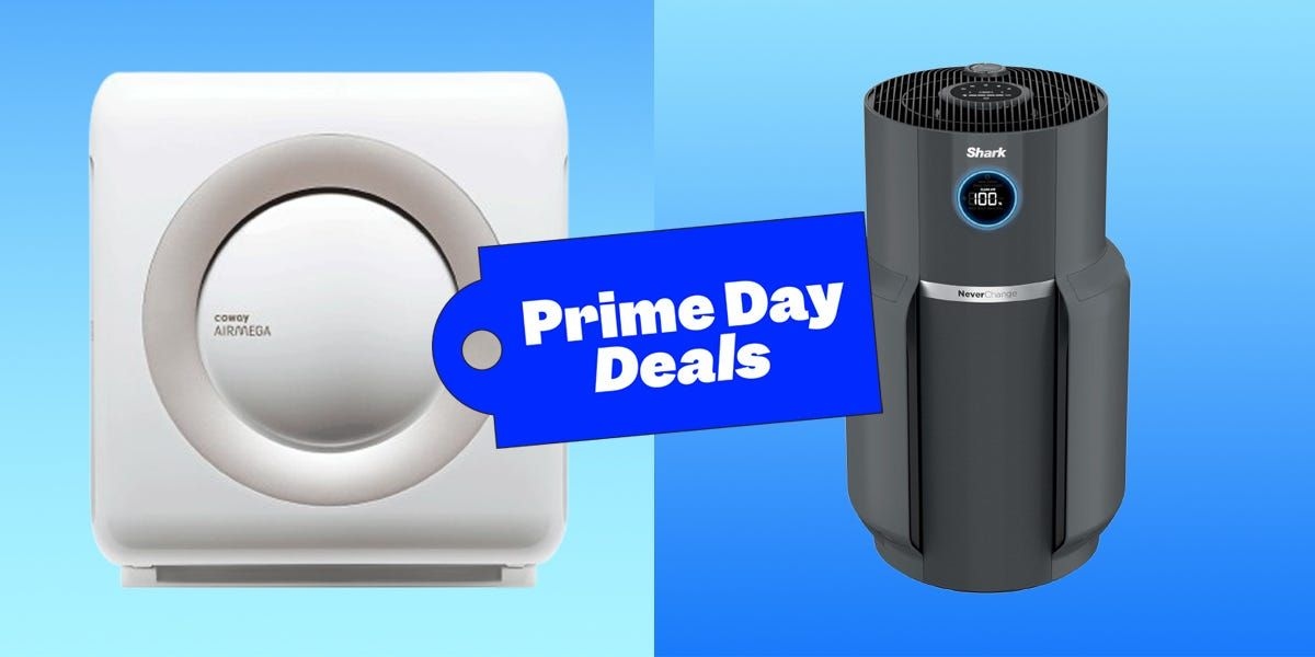Descontos imperdíveis em purificadores de ar durante o Amazon Prime Day. Reprodução: Business Insider