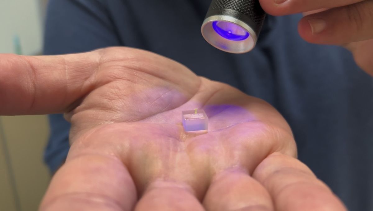 Modelo em 3D de Cristo Protetor é apresentado com detalhes visíveis apenas em microscopia eletrônica. Reprodução: Globo