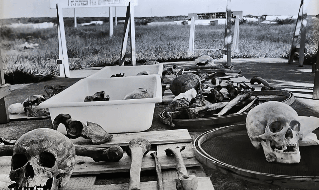 A Vala de Perus: Desvendando um Horror da Ditadura