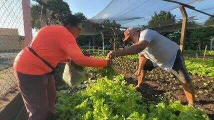 Mary Dota se destaca pela forte identidade comunitária e potencial econômico. Reprodução: TV TEM