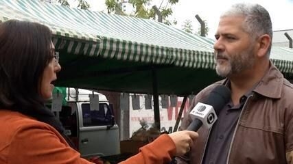 Produtores têm até hoje para vacinar bezerros contra brucelose em Mogi das Cruzes. Reprodução: Globo