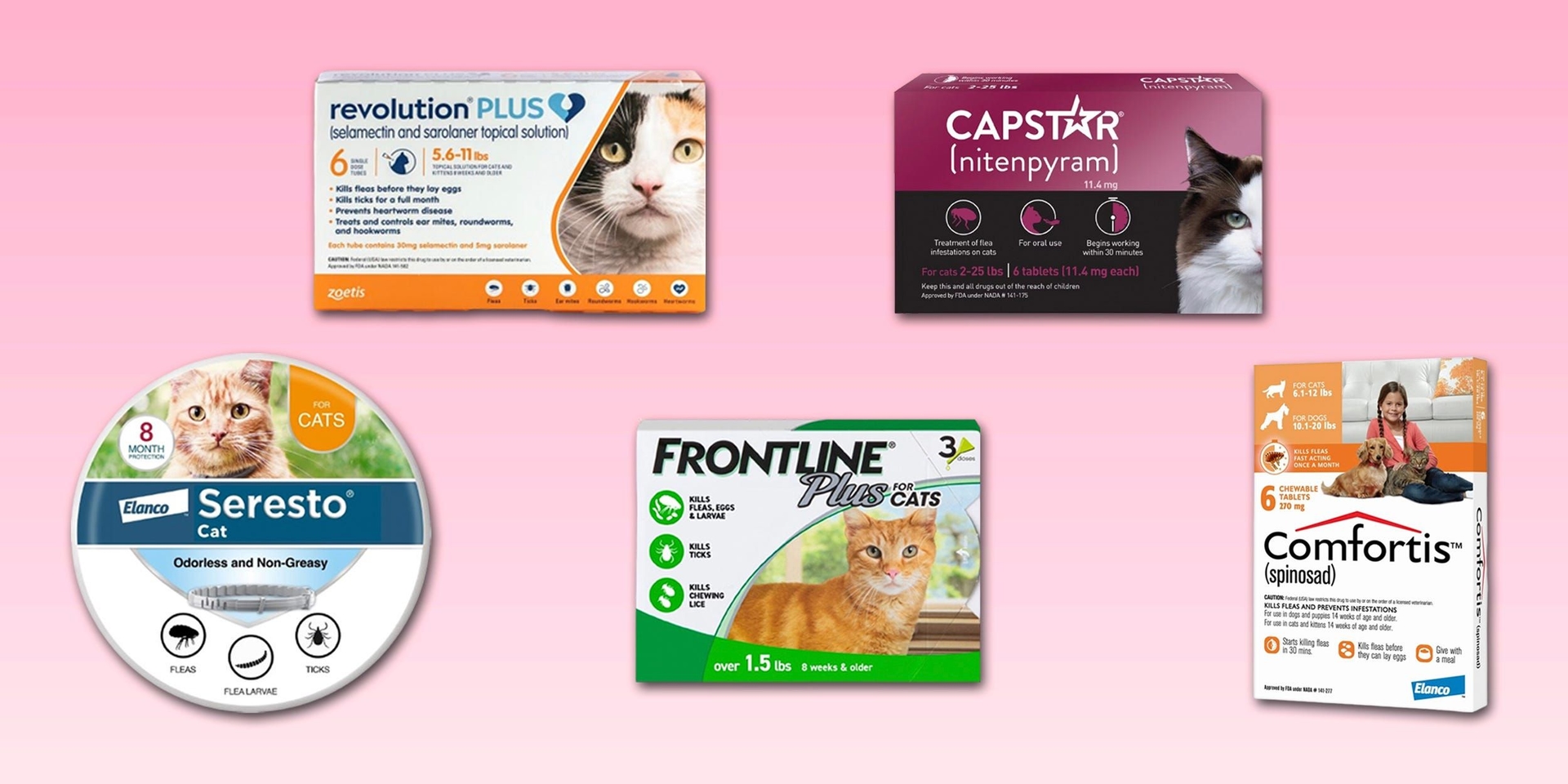 As melhores opções de tratamento contra pulgas para gatos em destaque. Reprodução: Business Insider