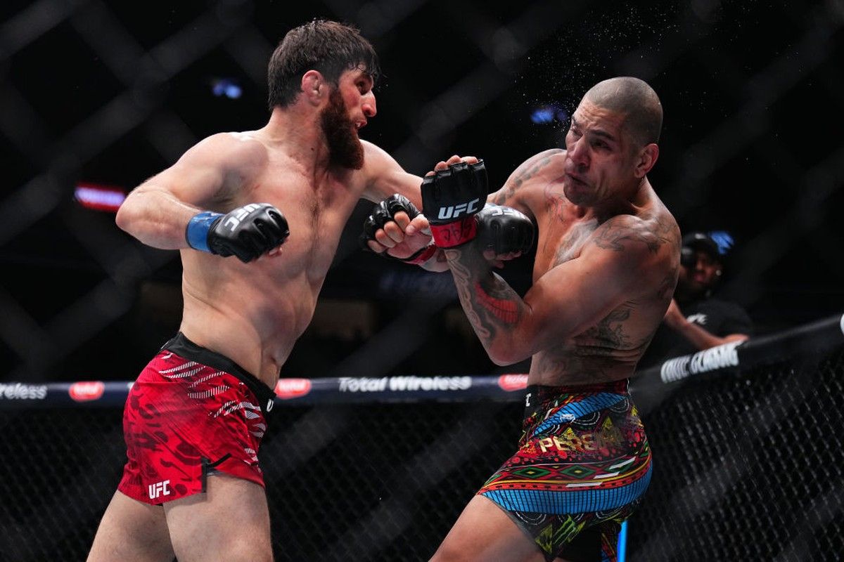 Magomed Ankalaev conquista cinturão no UFC 313