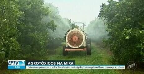 Fiscalização mais rígida visa combater o uso de agrotóxicos proibidos em São Paulo. Reprodução: Globo