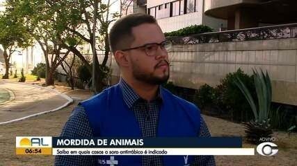 Vacinação antirrábica em Campinas enfrenta aumento de atendimentos em 2024. Reprodução: Globo