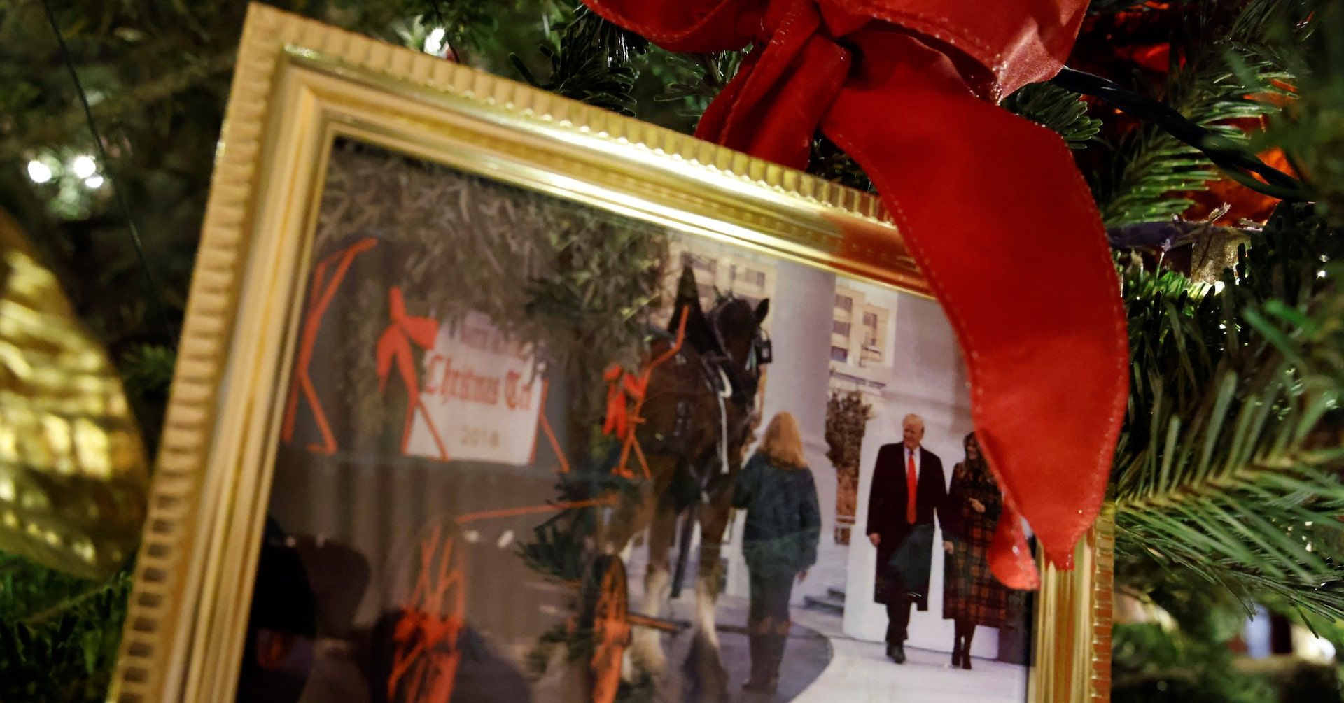 Produtores chineses de árvores de Natal denunciam queda nas pedidos devido a tarifas de importação. Reprodução: Reuters