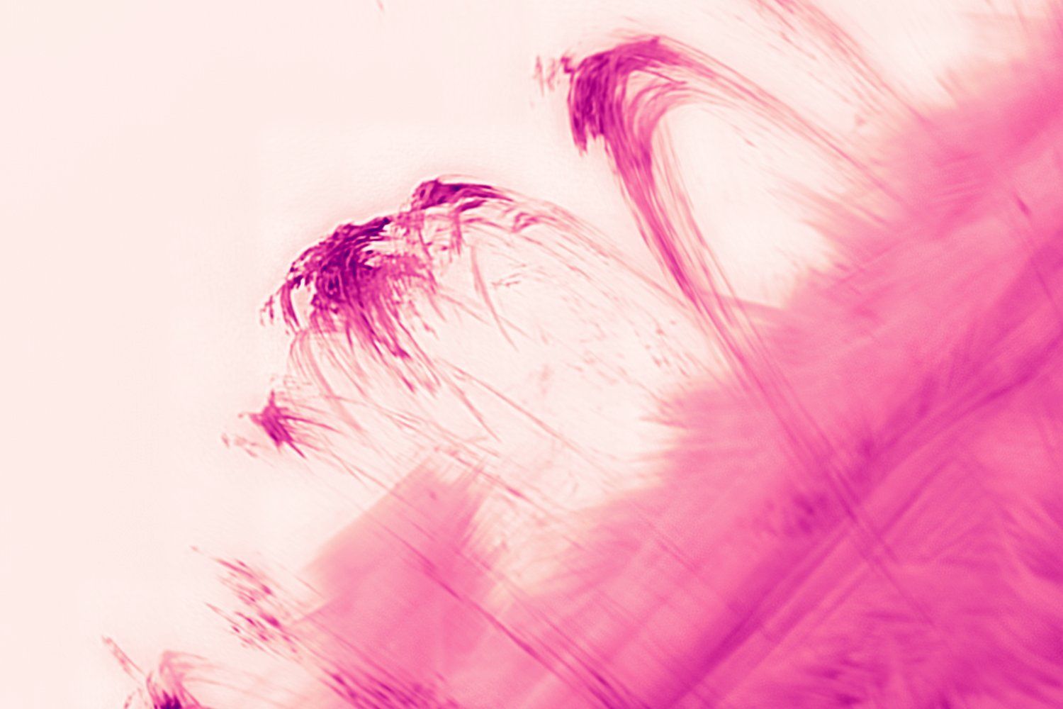 Detalhe surpreendente da coroa solar, com estruturas de plasma reveladas por um novo sistema óptico. Reprodução: Gizmodo