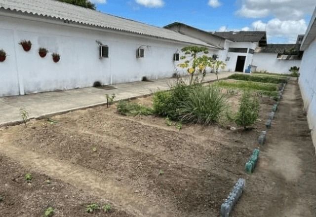 Cela do ex-presidente com vista para horta em presídio em apuração pelo Conselho Penitenciário. Reprodução: CNN Brasil