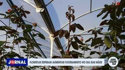 Floristas de Bragança Paulista celebram aumento nas vendas de flores para o Dia das Mães. Reprodução: Globo