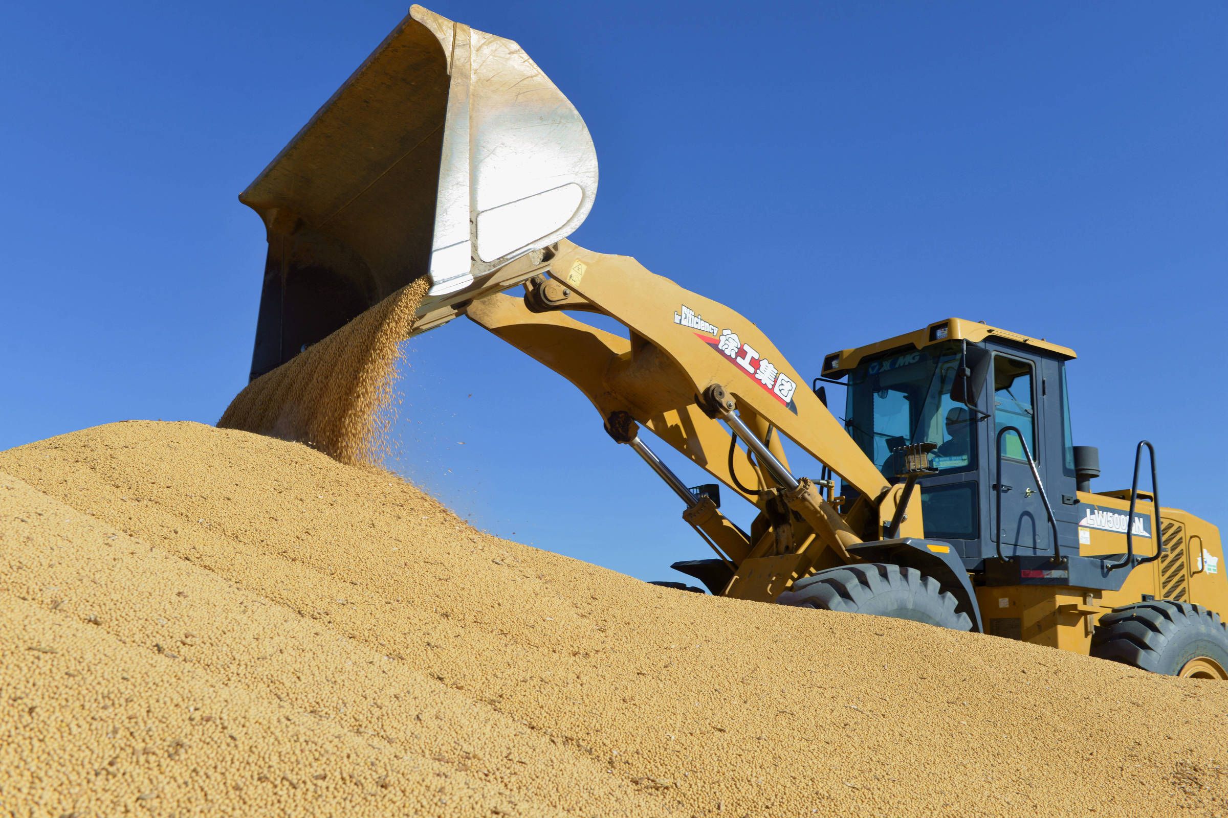 China Suspende Importação de Soja dos EUA em Retaliação