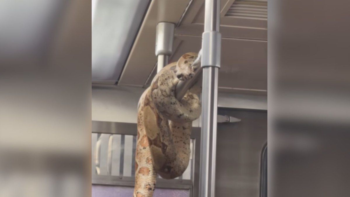 Modelo Marcelle Mazzini registra momentos de um passeio pela cidade. Reprodução: iG