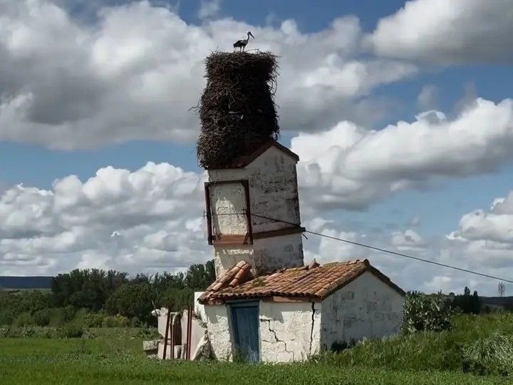 Ninho de cegonhas-brancas se destaca no topo de chaminé em Quintanilla del Agua. Reprodução: Globo