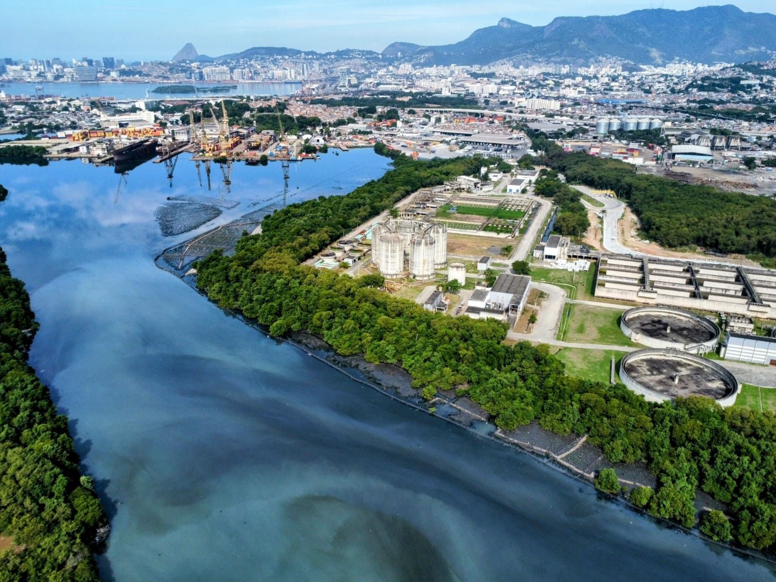 Carlos Magno e seu filho Caetano brincam na Praia do Flamengo, evidenciando a recuperação das águas. Reprodução: Globo