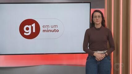 Homem e pessoa transexual são presos em Araçatuba por exploração sexual e violência contra travesti. Reprodução: Globo