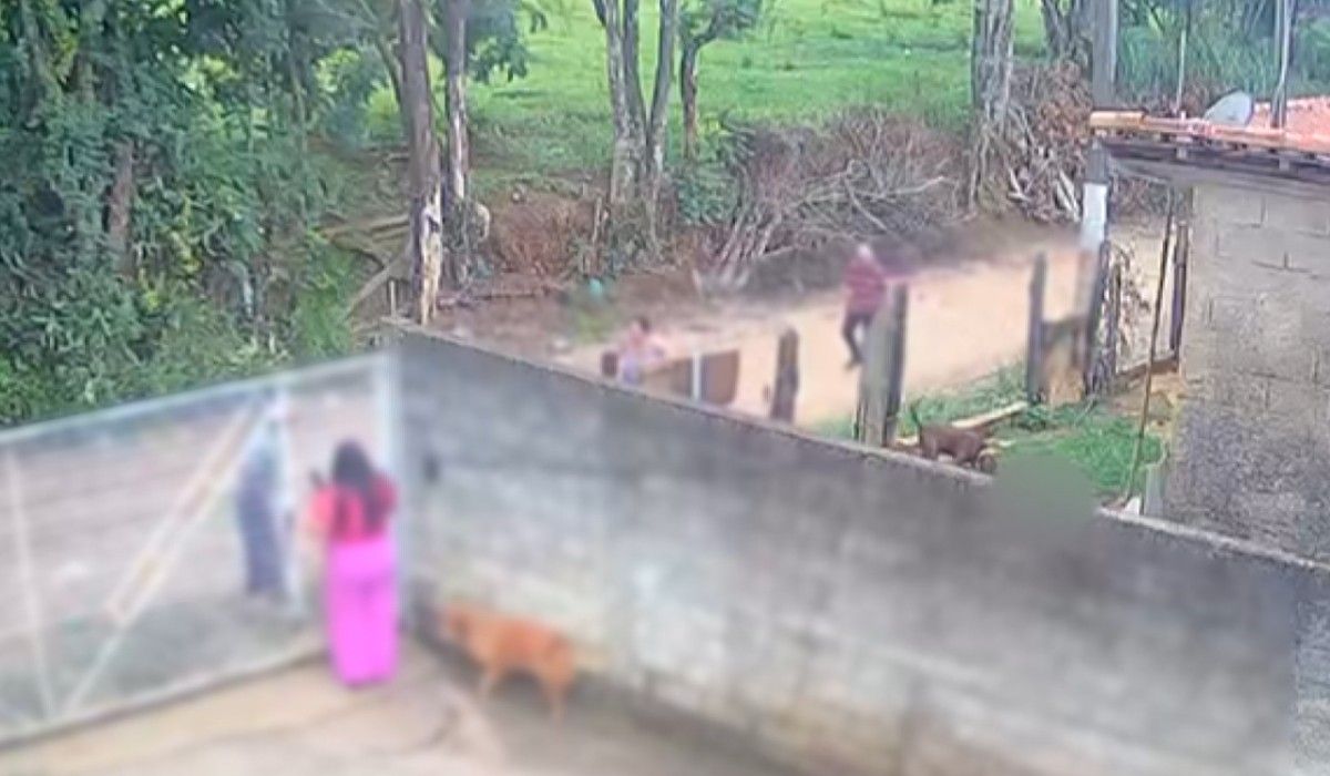 Caso de bebê de 11 meses arrastado por pitbull em SP: o que se sabe.. Reprodução: G1