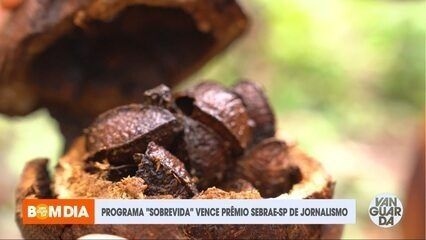 Cemaden participa da Semana Nacional de Ciência e Tecnologia em São José dos Campos. Legenda da imagem. Reprodução: Retorno do item 11