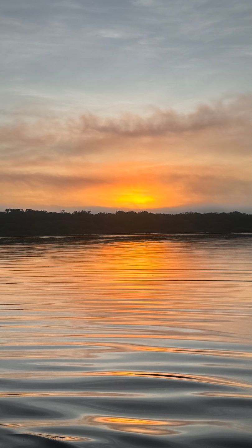 Participantes se conectam com a natureza em retiro espiritual na Amazônia. Reprodução: Folha PE