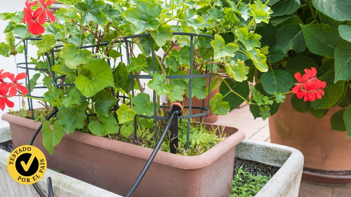 Modelo AnseTo é escolhido como o melhor sistema de irrigação automática por suas excelentes características. Reprodução: El País