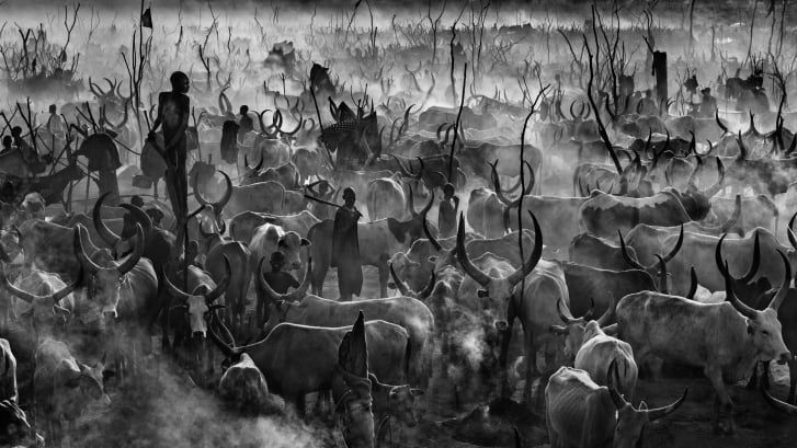 Conflitos no Sudão do Sul resultam em massacre de 35 pessoas