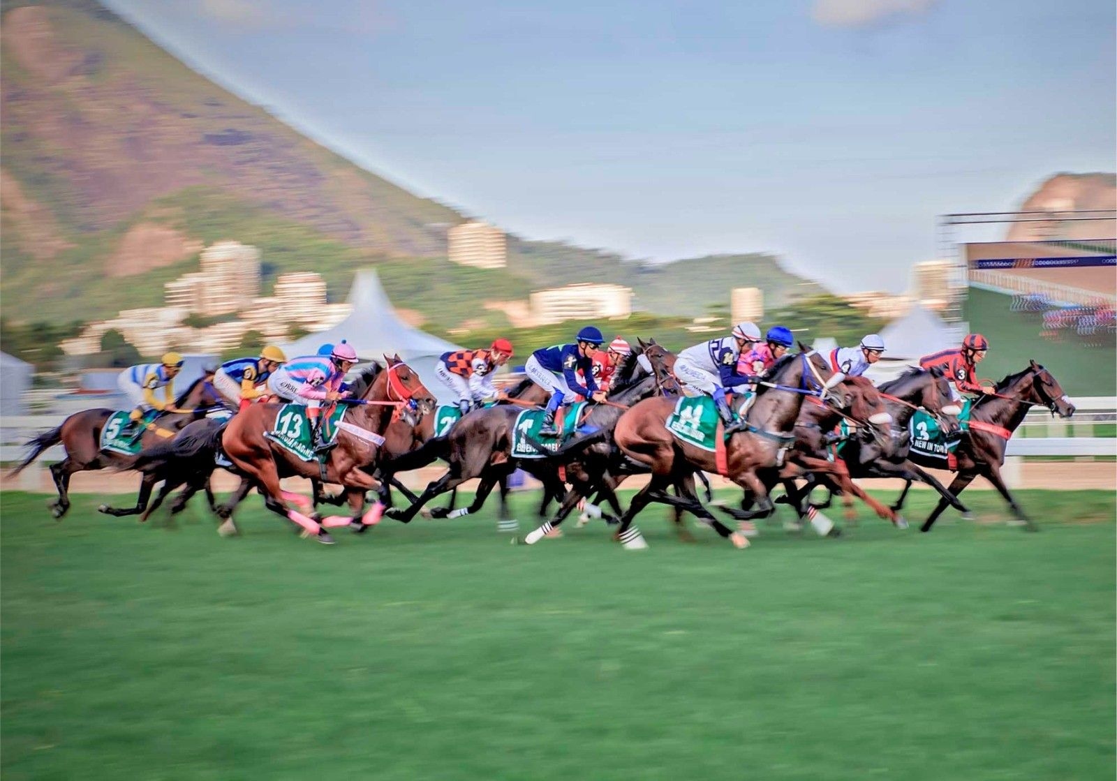 Cavalos e emoção marcam a 93ª edição do Grande Prêmio Brasil no Jockey Club.; Legenda da imagem. Reprodução: Globo