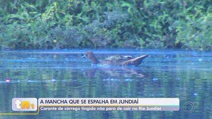 Córrego em Jundiaí muda de cor e afeta fauna após vazamento de corante. Reprodução: TV TEM