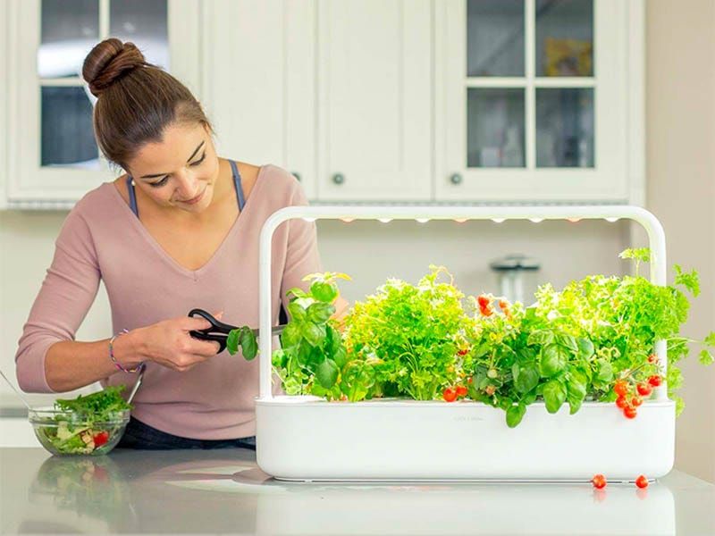 [Horta interna com jardim inteligente facilita o cultivo de manjericão e alface]. Reprodução: Businessinsider