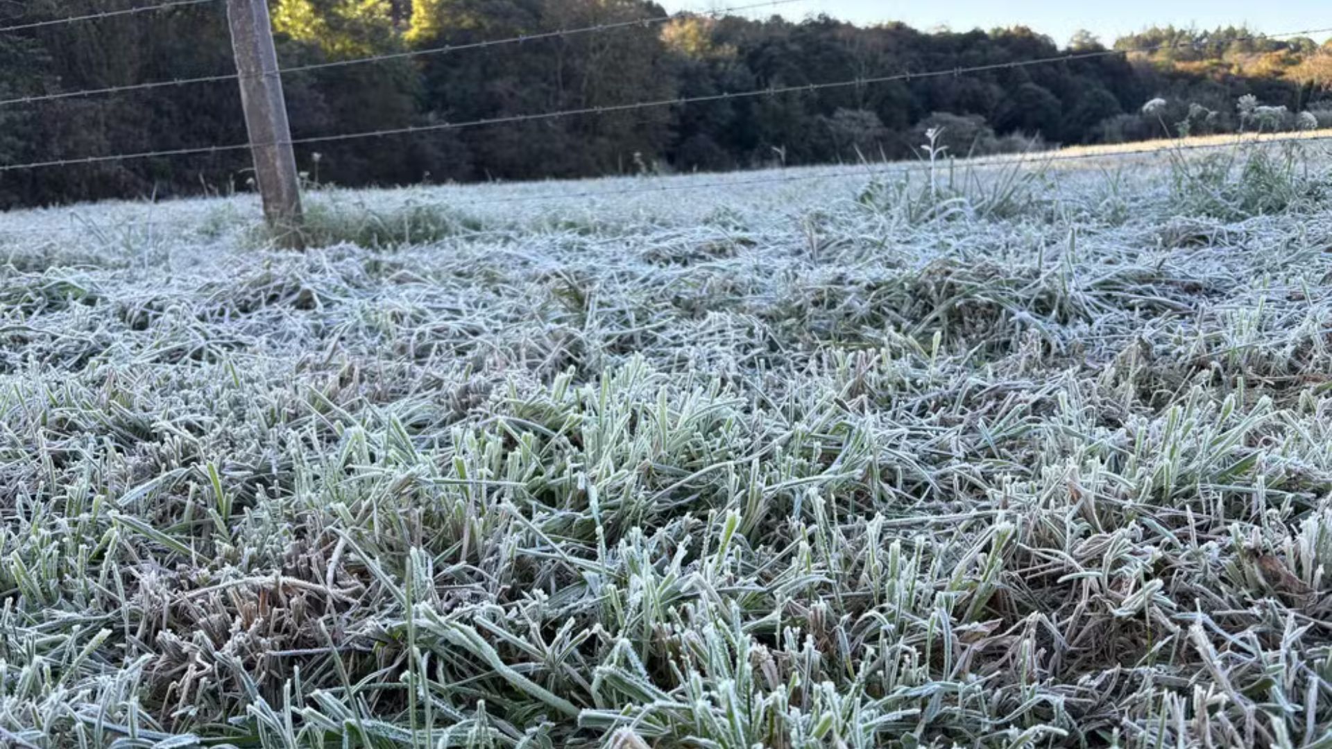 [Geada prevista no RS e início de frio intenso, segundo o Inmet.]. Reprodução: G1
