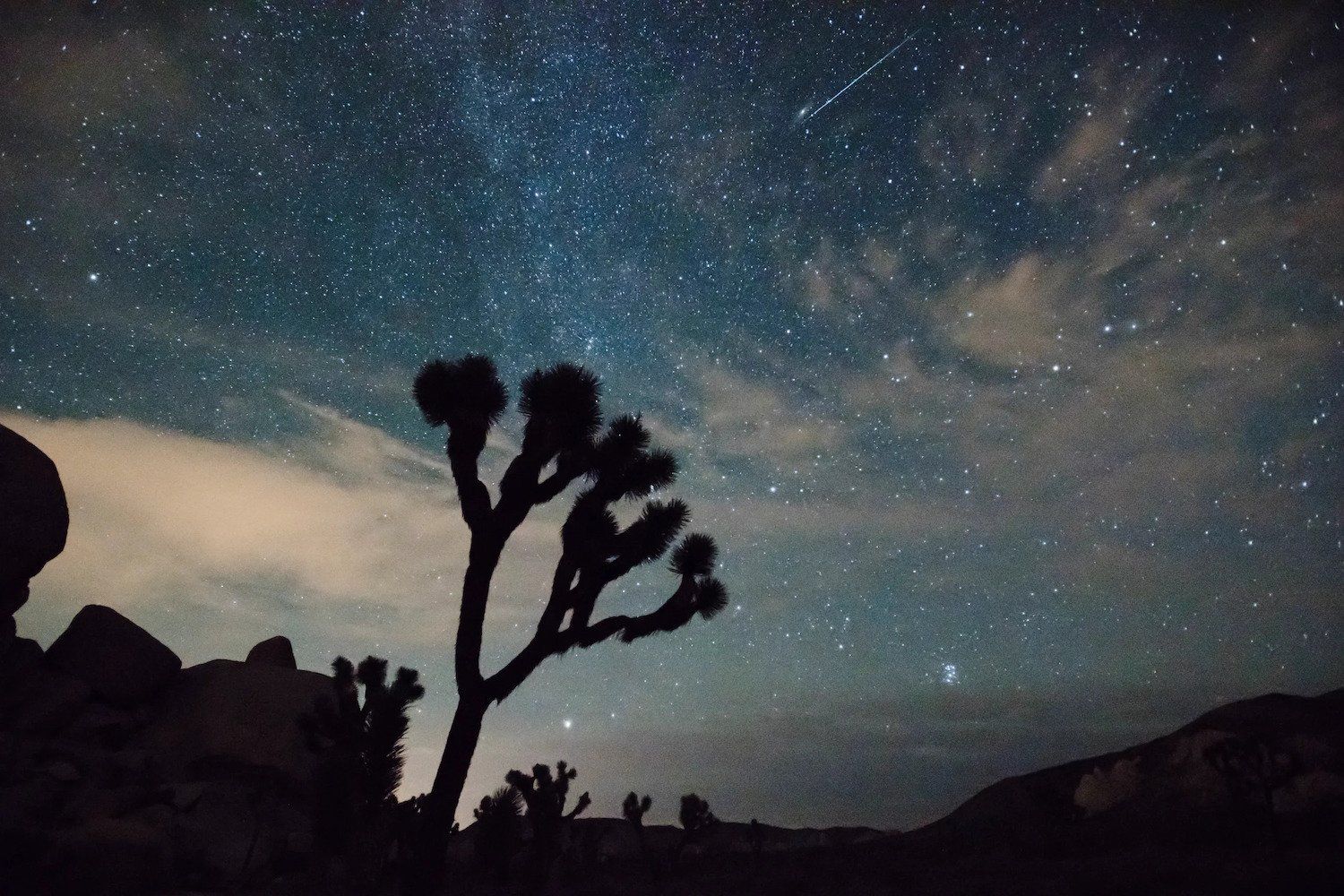 Meteoro da chuva Perseida risca o céu sobre o Parque Nacional Joshua Tree.; Reprodução: Gizmodo