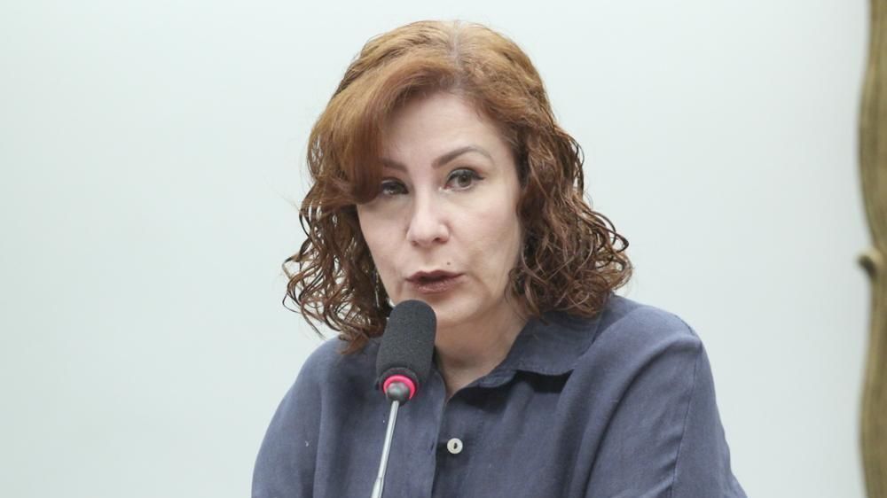 STF Julga Porte Ilegal de Arma de Carla Zambelli