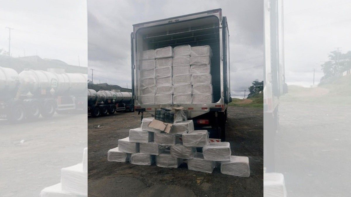 [Polícia Rodoviária apreende 1,5 t de maconha na rodovia de Botucatu]. Reprodução: G1