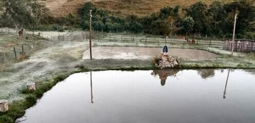 Produtores de café em Caconde estão preocupados com a baixa temperatura que pode afetar as plantações. Reprodução: Globo
